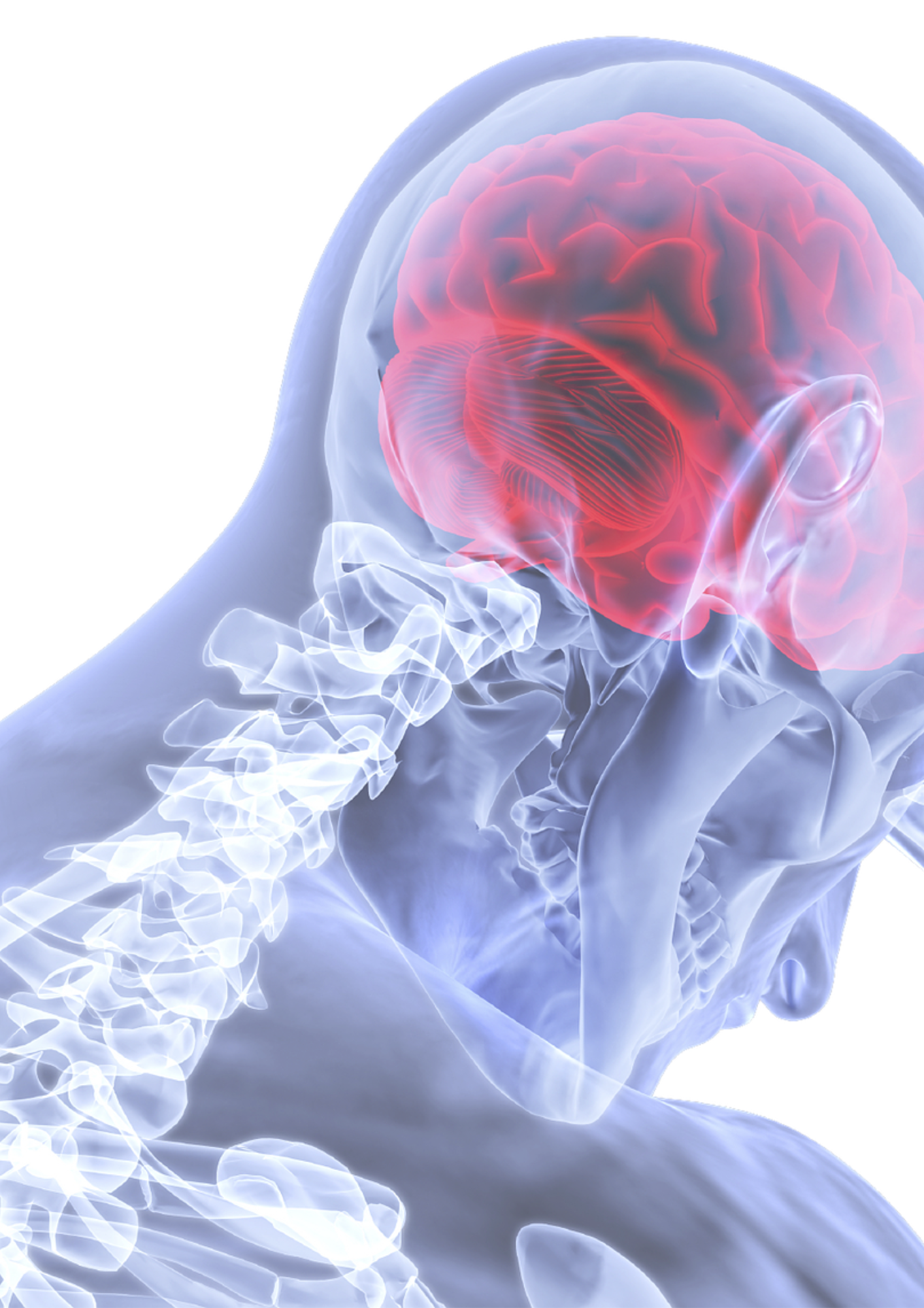 Doenças do Sistema Nervoso: Esclerose Múltipla e Epilepsia